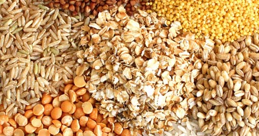 The different types of dry fruits