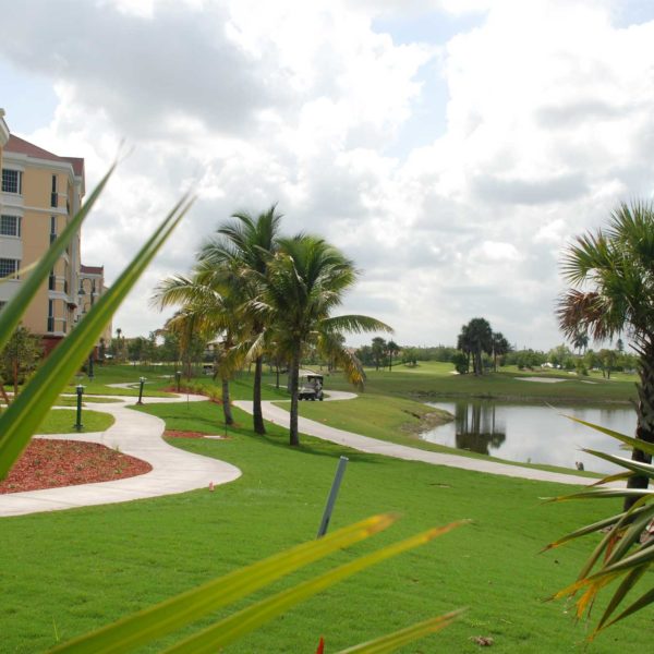 The Eagles Preserve Neighborhood at Shell Point