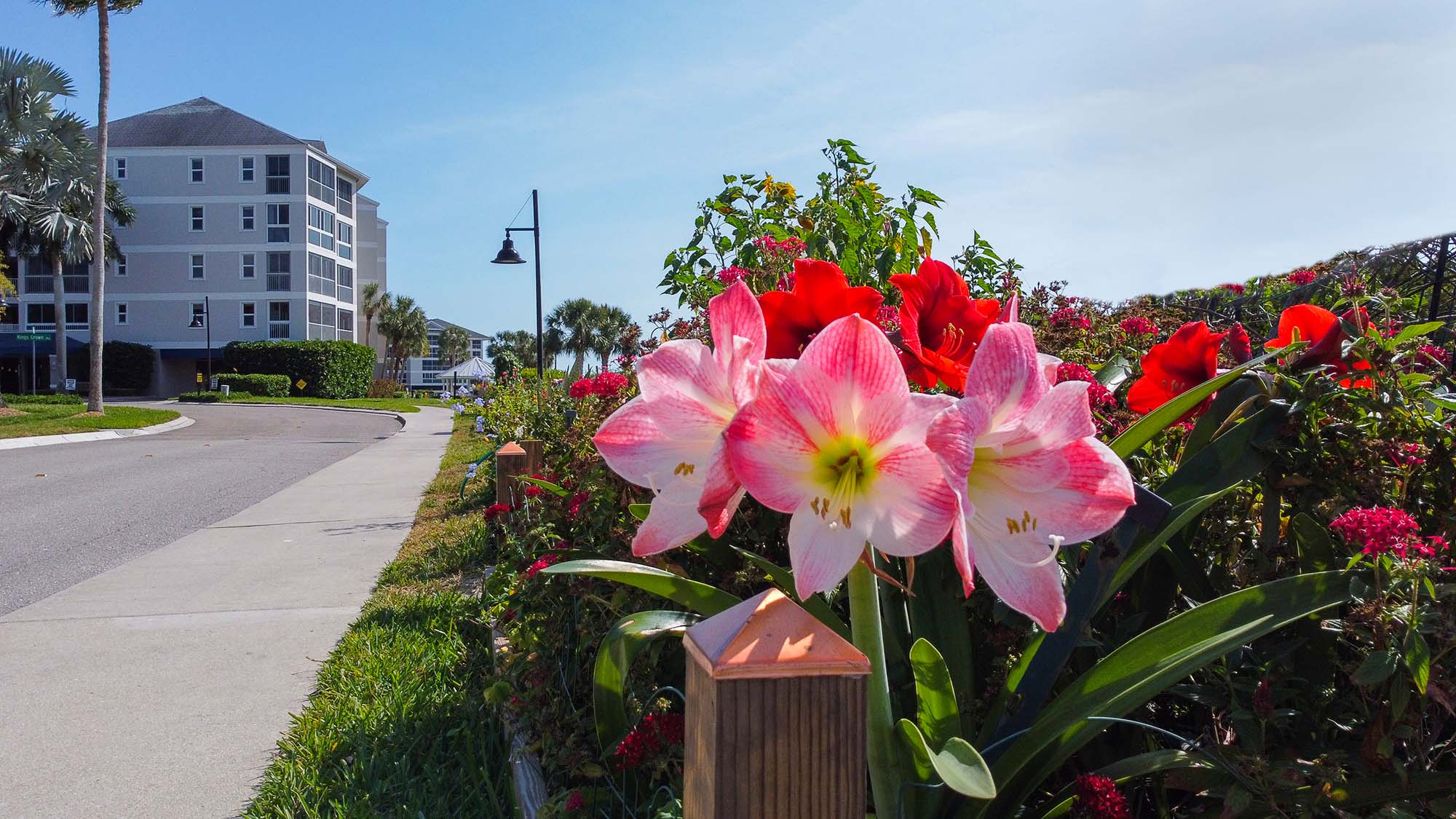 The gardens on The Island at Shell Point Retirement Community